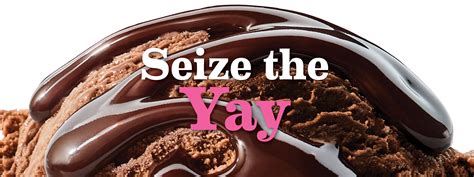 baskin robbins seize the yay